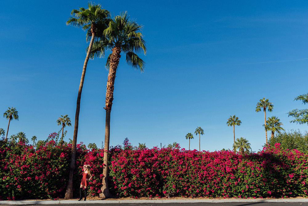 lovely-sonoran-02